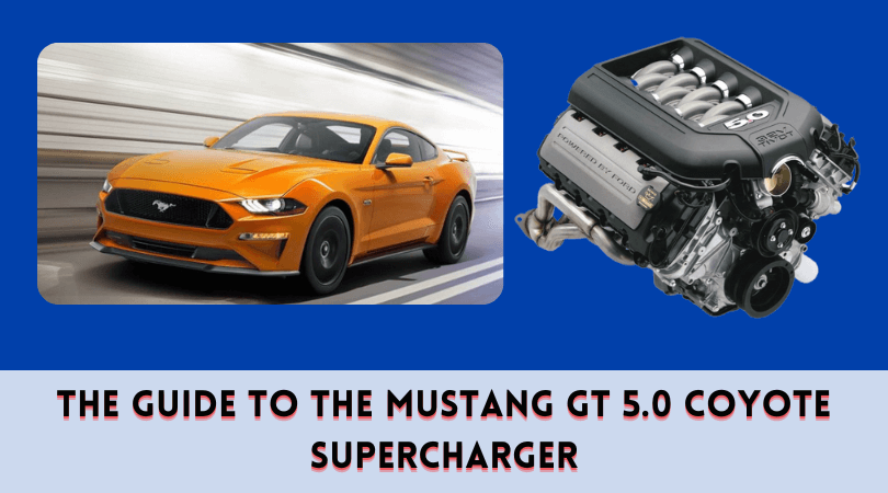 The Guide to the Mustang GT 5.0 Coyote Supercharger
